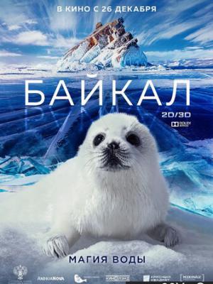 轮播图